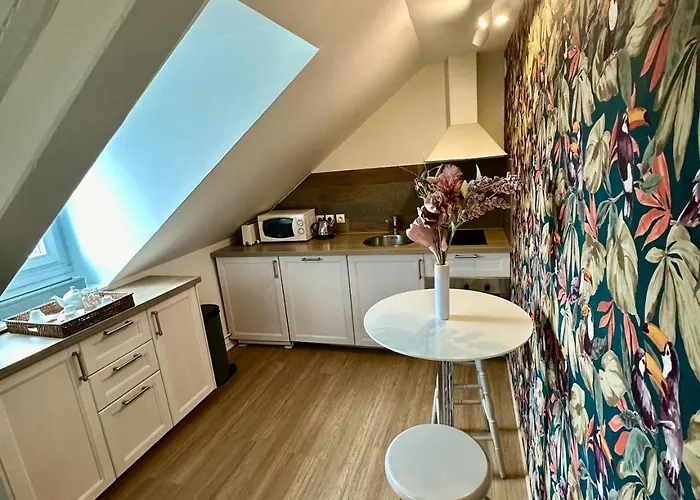 Le Duplex Ou L'appart D'agnès *